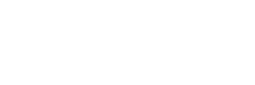 Novator